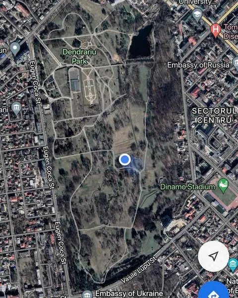 Альфа Гравити — занятие